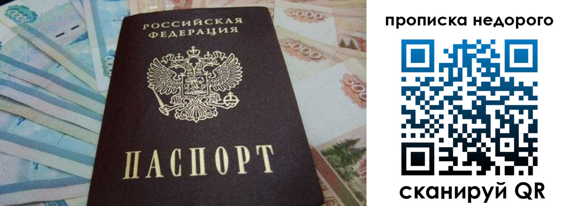 временная регистрация поиск в Донском